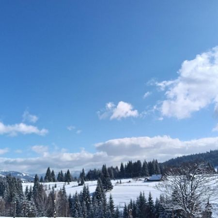 Casa Vasy Pension Vatra Dornei Buitenkant foto