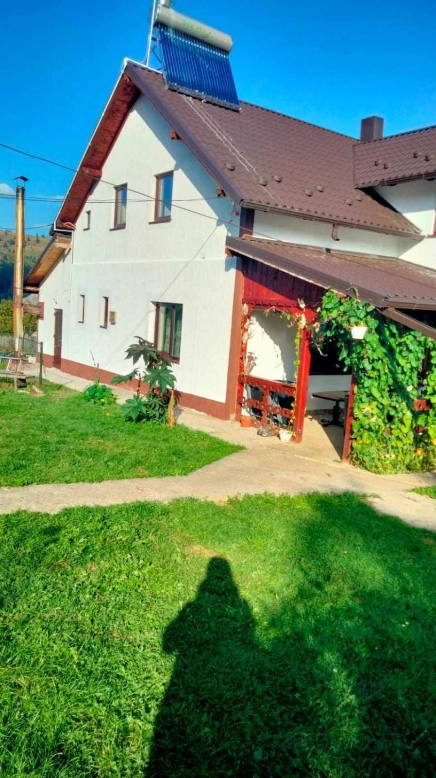 Casa Vasy Pension Vatra Dornei Buitenkant foto