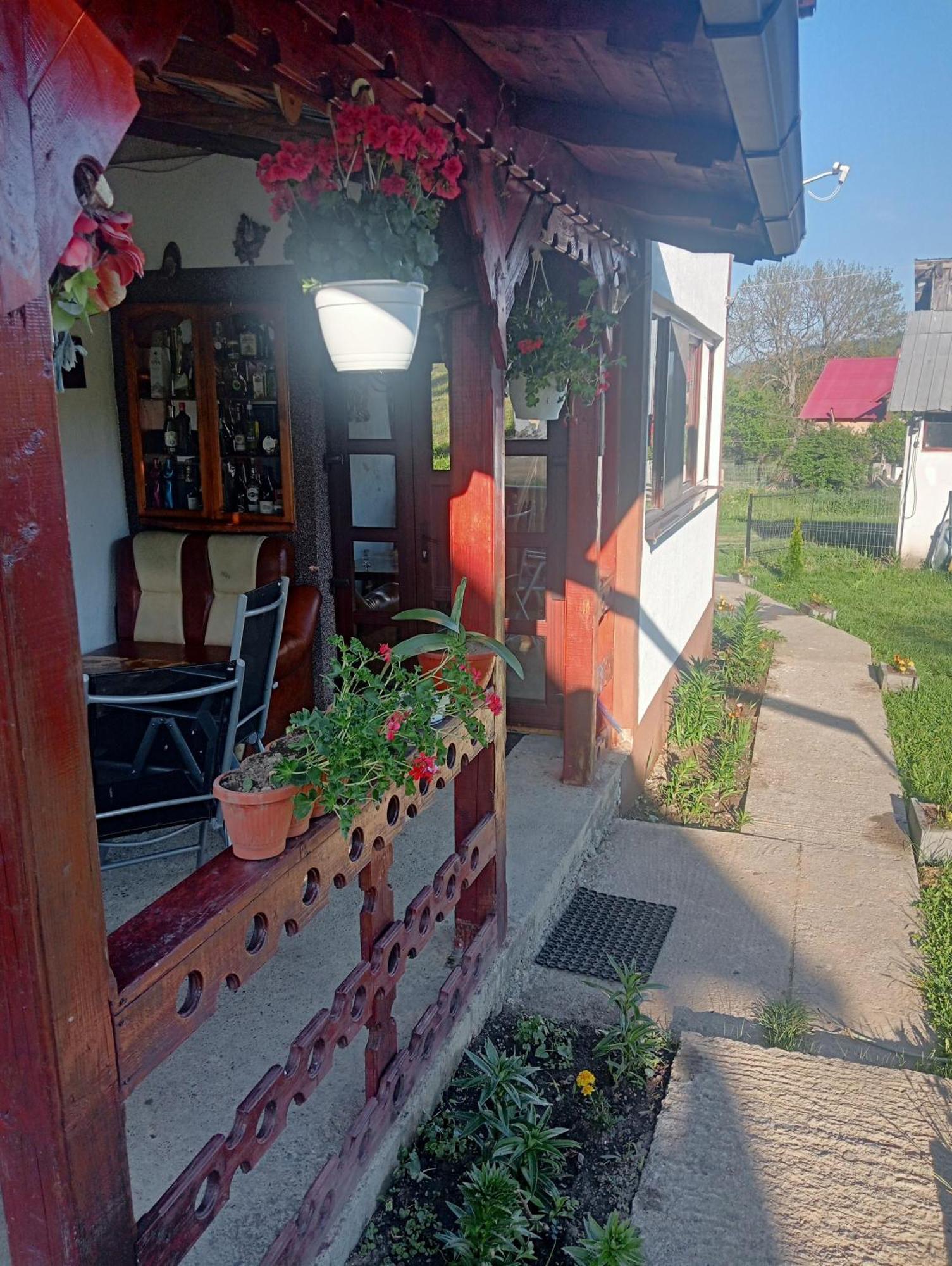 Casa Vasy Pension Vatra Dornei Buitenkant foto