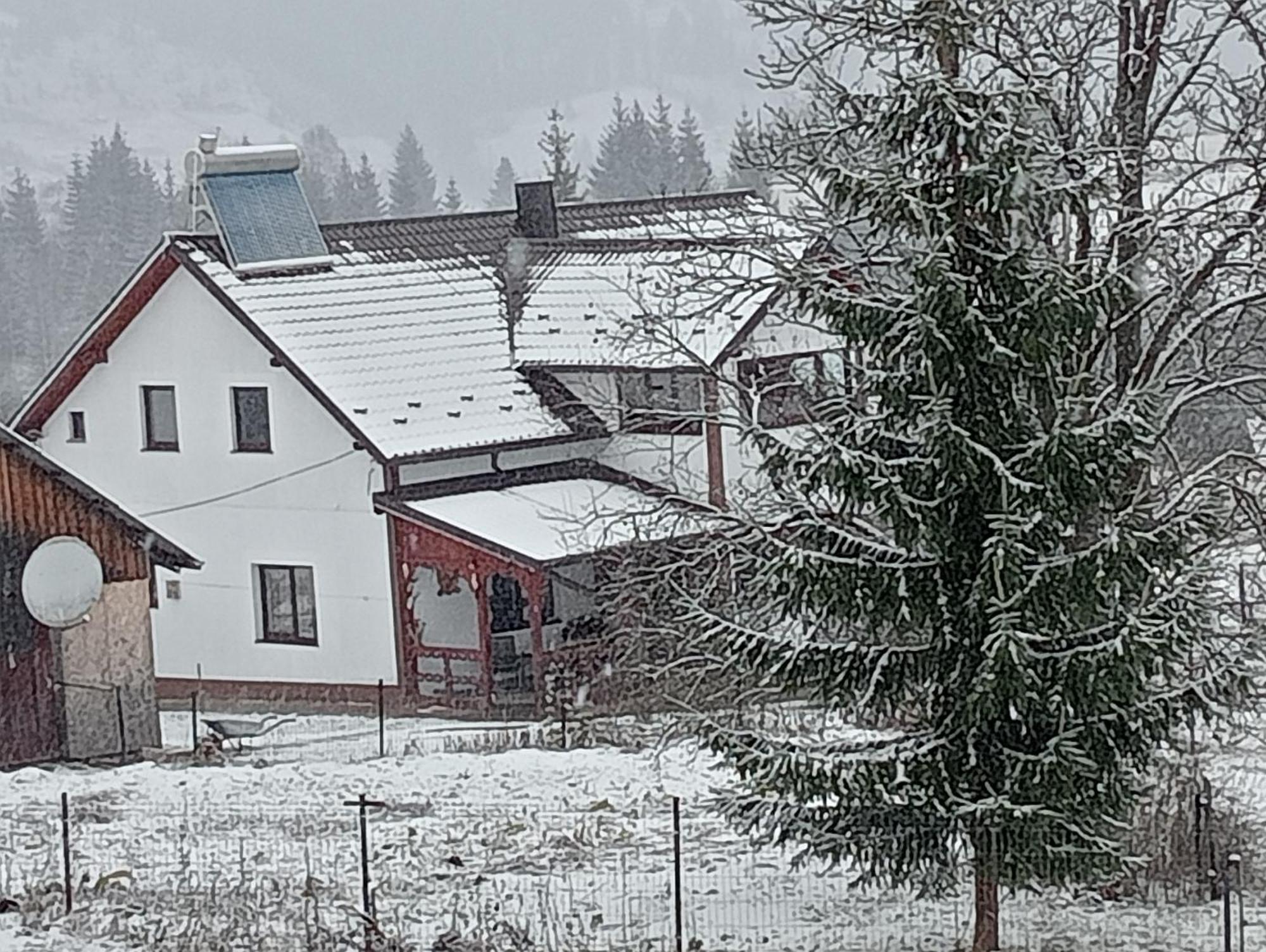 Casa Vasy Pension Vatra Dornei Buitenkant foto