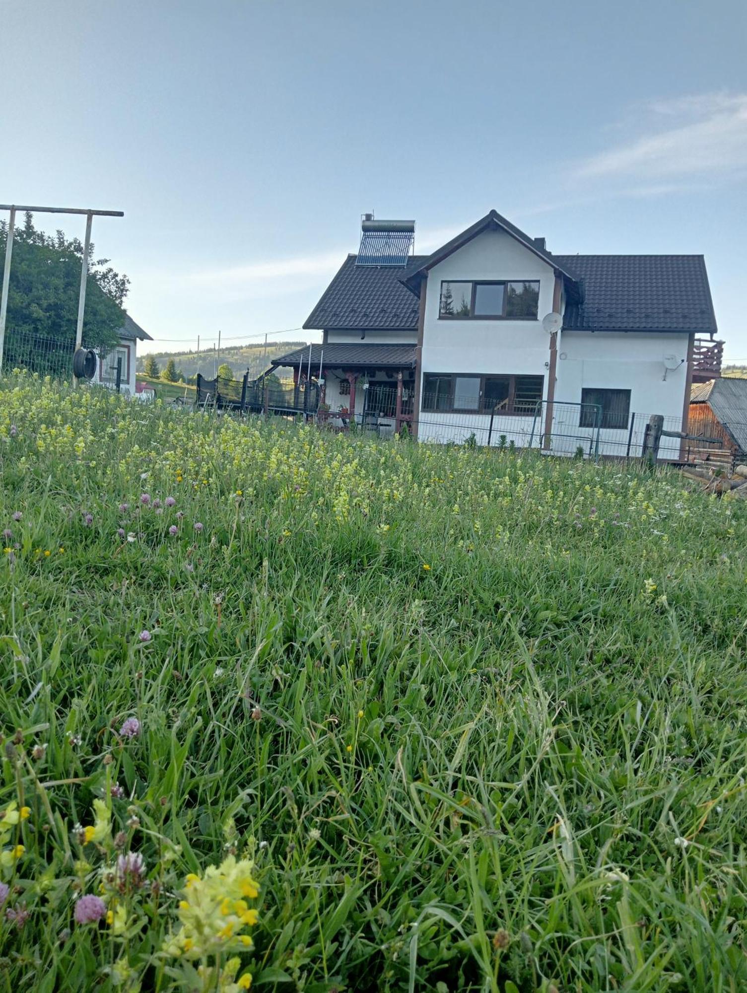 Casa Vasy Pension Vatra Dornei Buitenkant foto