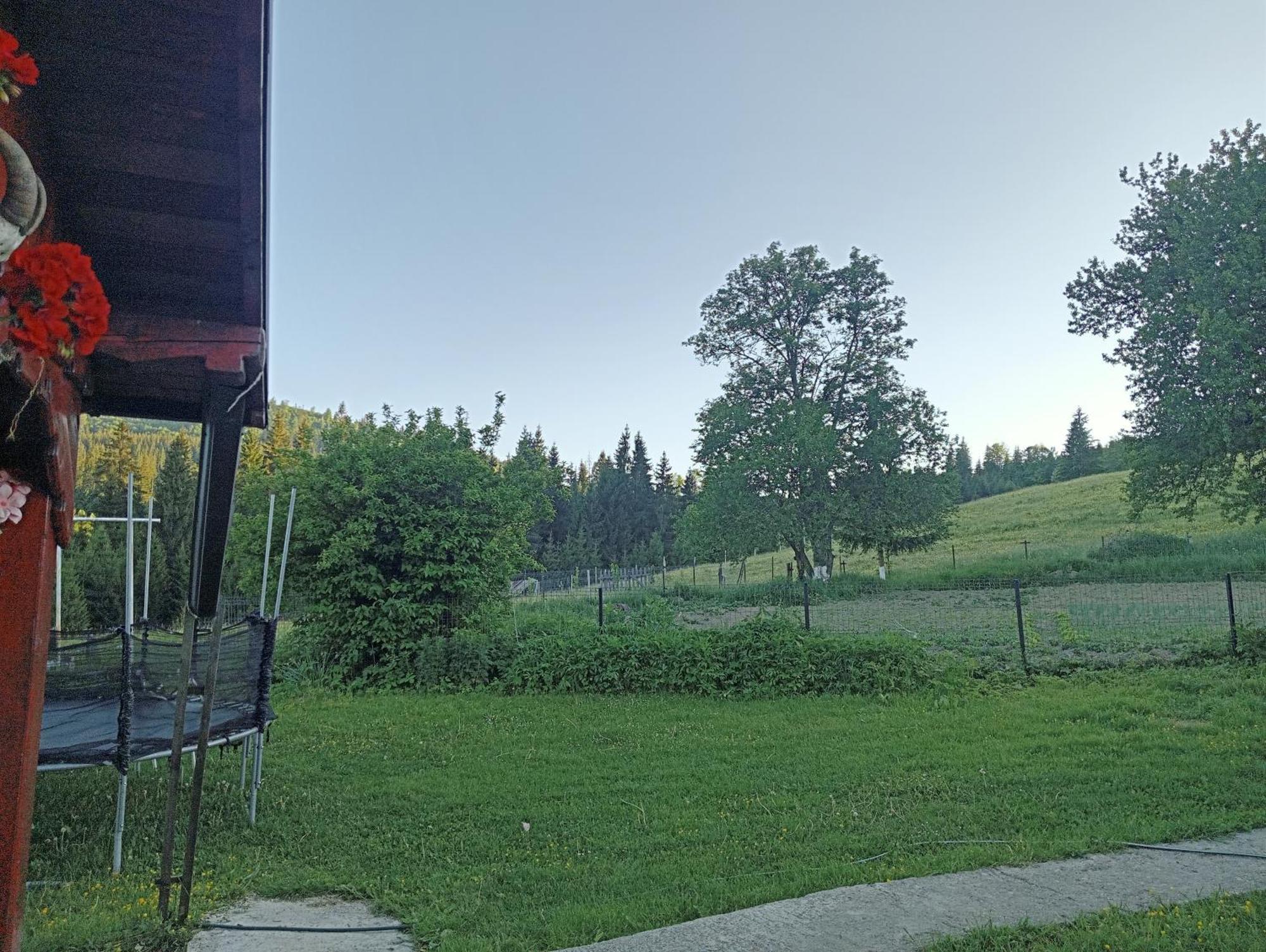 Casa Vasy Pension Vatra Dornei Buitenkant foto