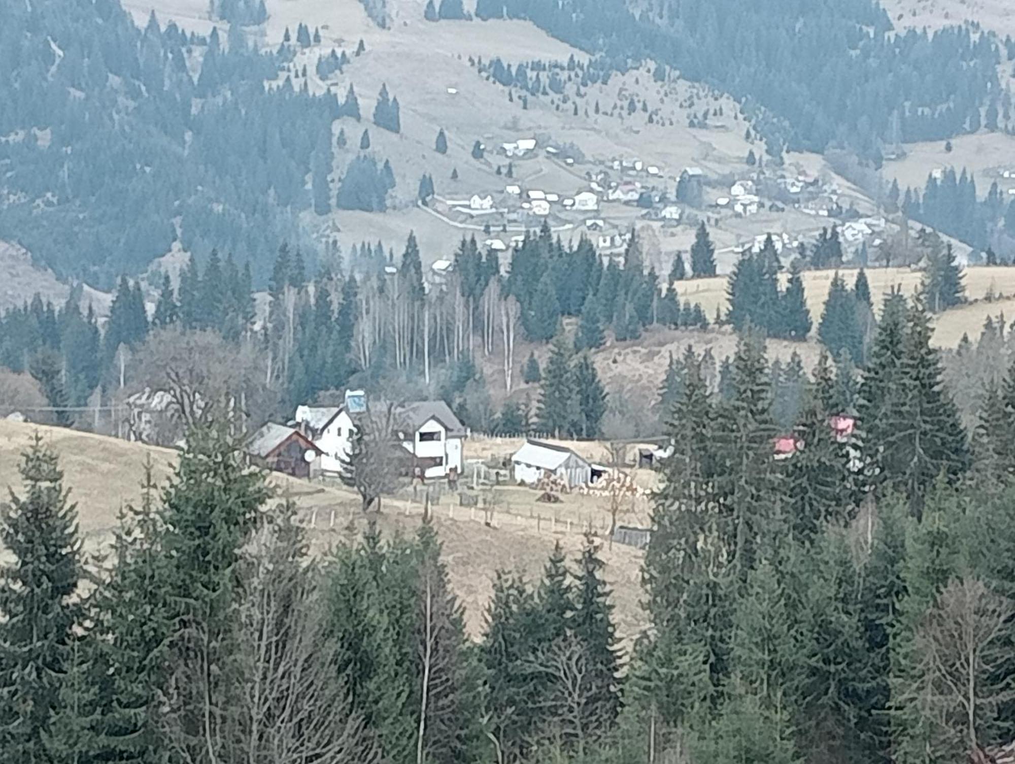 Casa Vasy Pension Vatra Dornei Buitenkant foto