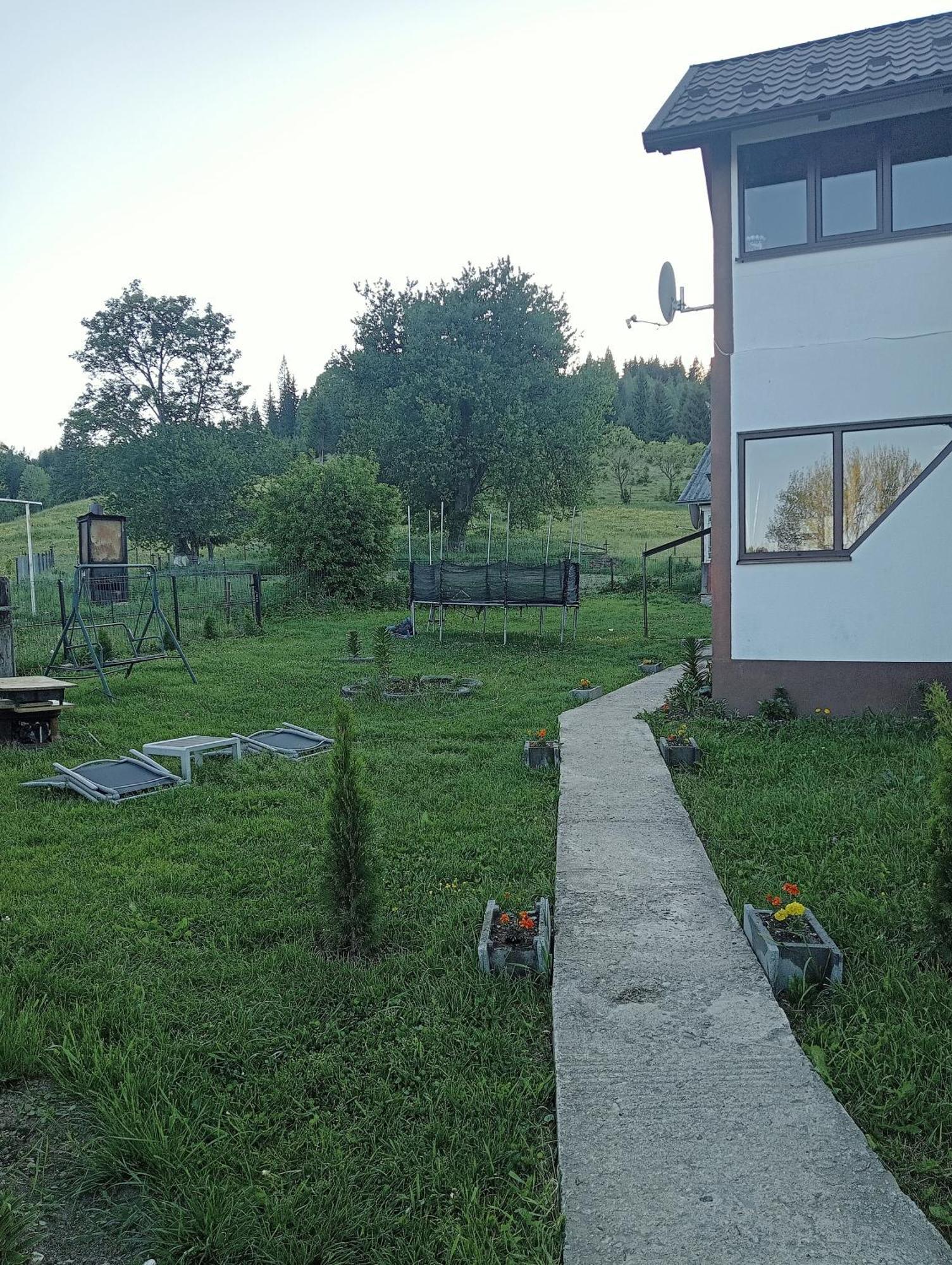 Casa Vasy Pension Vatra Dornei Buitenkant foto