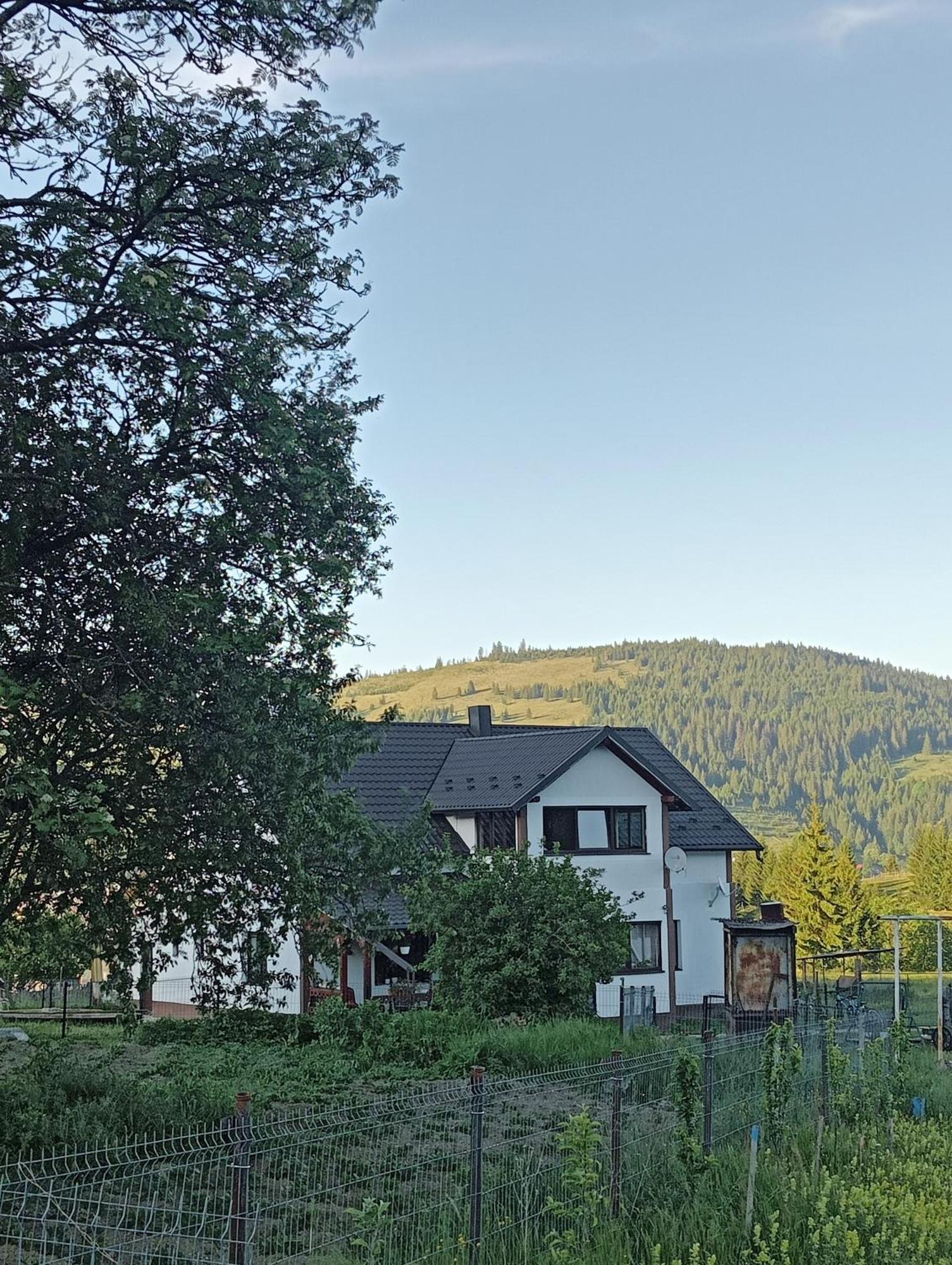 Casa Vasy Pension Vatra Dornei Buitenkant foto