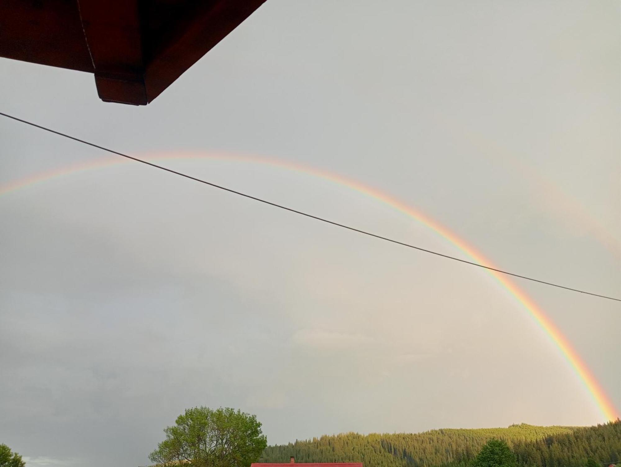 Casa Vasy Pension Vatra Dornei Buitenkant foto