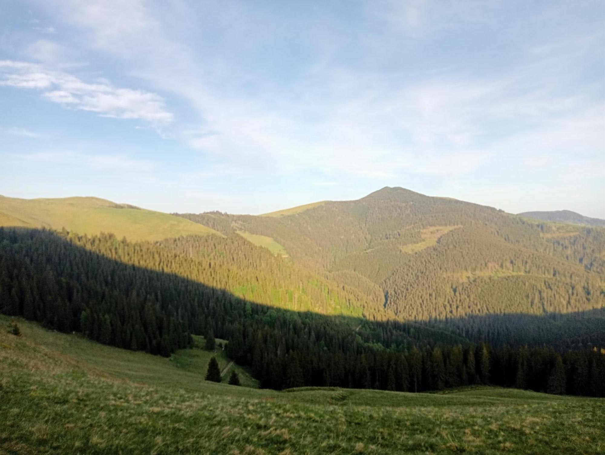 Casa Vasy Pension Vatra Dornei Buitenkant foto
