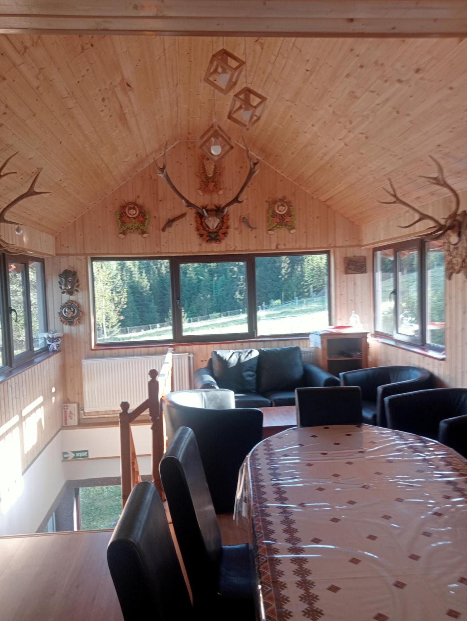 Casa Vasy Pension Vatra Dornei Buitenkant foto