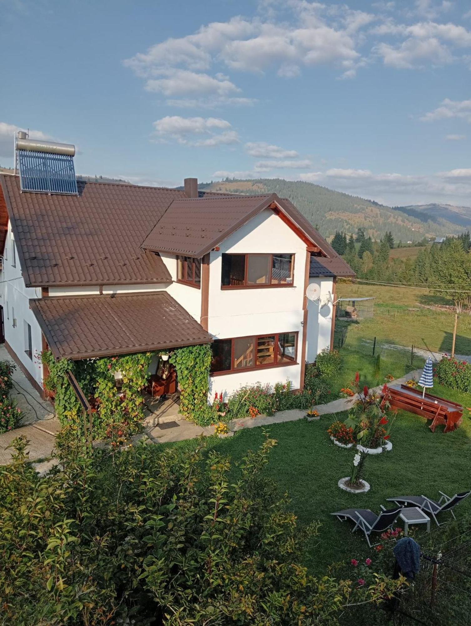 Casa Vasy Pension Vatra Dornei Buitenkant foto