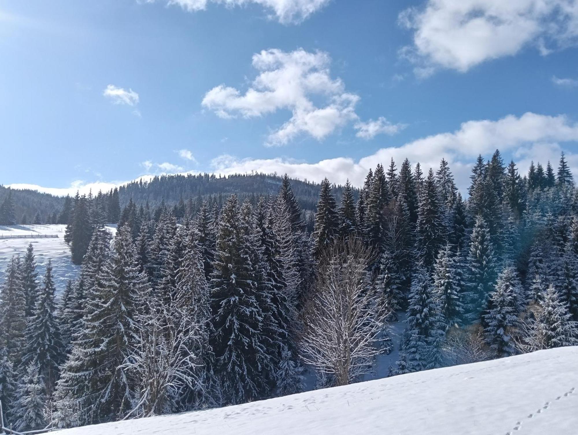 Casa Vasy Pension Vatra Dornei Buitenkant foto